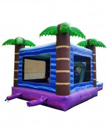 Water20combo20back 1714362805 Tropical Water Slide Bounce House Combo